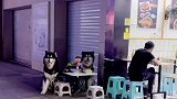 萌娃自己在路边吃饭，谁也不敢靠近