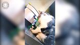 你俩好会玩啊，看着这个姿势，真的是好好玩啊！