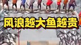 风浪越大鱼越贵