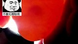 这是一天朴实无华的孵蛋视频