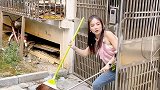 看热闹的正确方式，你学会了吗？