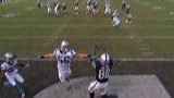 NFL-1617赛季-常规赛-第12周-奥克兰突袭者35:32卡罗莱纳黑豹集锦-精华