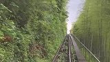 想和你坐在火车上，穿过这样的丛林