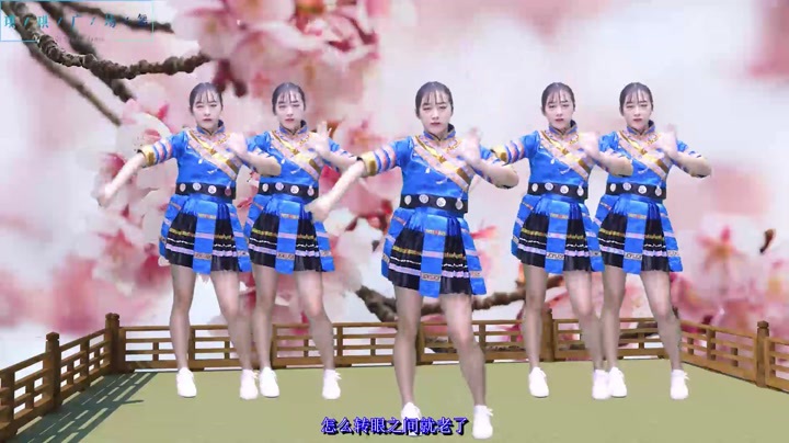 DJ广场舞《一晃就老了》