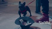 《陈翔六点半》第174集 卖花女神爱上流浪歌手，不用物质的完美爱情！