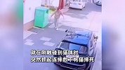男子看到小猫亲人，便佯装喜爱靠近撸猫，突然抓起连摔数下将猫摔死