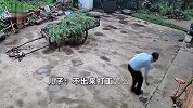 父亲患帕金森走路不受控制，在老家院子数次跌倒躺地，儿子看监控泪目