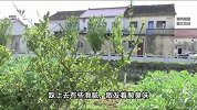 男子被拐23年回家发现姐姐被1.7万卖给老汉，被卖前疑遭性侵