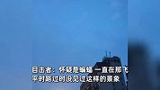 成都天空傍晚现密集鸟群？目击者：平时路过没见过，怀疑是蝙蝠好吓人