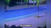 场面太滑稽！5人在路上狂追2马3公里，网友：两驱的果然比不过四驱的