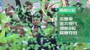 2019亚冠数说全北现代：6冠王两夺亚冠　崔康熙出走成X因素