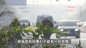 民警跨300公里抓嫌犯受伤流血，嫌犯5人中3人患艾滋病，民警一句话引网友怒赞