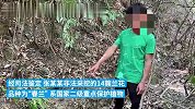 男子非法采挖14簇国家二级重点保护植物“春兰”，被刑拘
