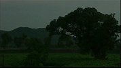 “东山再起”中的东山在哪？ 历史上原来是条神奇的朝圣之路