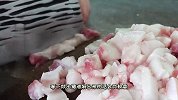 孩子一次能吃3碗的客家板栗饭，做法太简单了，好吃到吃撑还想吃
