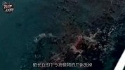 真是史前蛇颈龙？1977年日本捕获海怪之谜 56