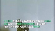 湖南桃江现十年最大蝗灾，发生面积达3.6万亩，预计将扩散到8万亩以上