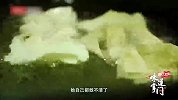 老北京传统美食炸排叉，又香又脆不扎嘴，一般人做不出来这味道