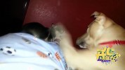 猪队友坑出新高度 你的生命充满考验
