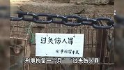 峨眉山猴子涉“过失伤人被刑拘”并实行“人猴分离”？景区回应