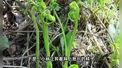 孕妇听信偏方拔“坟头草”煮水，全身变黄母子命悬一线！医生提醒