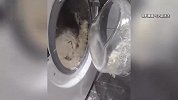 洗羽绒服会爆炸？央视：用洗衣机清洗前先浸泡打湿，推荐手洗