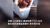 00后女生毕业返乡养牛3年，1400斤“猛牛”成好友：爱吃醋撒娇还会安慰人