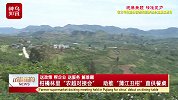 四川成都浦江县的“丑柑”来了！春季首采，助推直供餐桌
