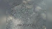 73岁老人骑自行车带老伴被路面坑绊倒：打了一圈电话没人管？