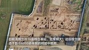 河南黄山遗址发现粮仓群 距今大概6000年前
