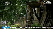 世界杯-14年-足球王国贫民窟里的足球少年-新闻