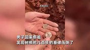 1枚能卖28万？树根把老祖宗墓碑压倒，男子扫墓竟挖出几枚古钱