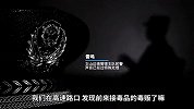 与毒贩斗争13年，37岁缉毒警满头白发被误认成孩子爷爷
