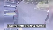 六旬阿姨遛狗时狗往车轮胎上撒尿，遭车主殴打辱骂多处受伤，法院判了