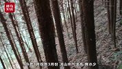 独家解读：四川凉山为何频发森林火灾，山火爆发只能用人命填吗？