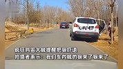 女子野生动物园抱孩下车小便，狼从背后悄悄靠近，后车疯狂鸣笛大喊提醒吓退狼