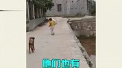 人菜瘾大技术差，但你们作妖是次次都不落