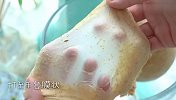 麦香味浓郁的啤酒面包，也叫俄罗斯大列巴