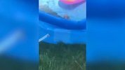 最佳蠢友 不好意思献丑了! 二货们的专属操作