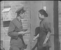 乘龙快婿-大陆版