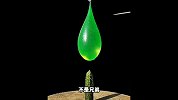 慢动作视觉盛宴，太震撼了！