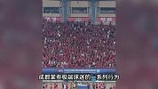河南足球遭成都极端球迷肆意侮辱，全国球迷声讨，成都蓉城回应
