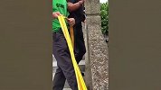 老人用长绳拴狗疑强迫狗狗游泳，路人制止被怒怼，淹死好几只了