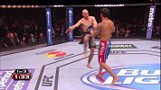 UFC-15年-UFC ON FOX 17自由格斗：塞罗尼vs马丁斯-专题