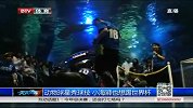 世界杯-14年-动物球星秀球技 小海狮也想踢世界杯-新闻