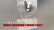 大学生返乡被母亲锁屋里隔离，睡懒觉后眼睁睁看着早餐被狗子吃掉