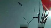 好摄之徒-20110720-驾着滑翔伞在尼泊尔上空给鹰喂食