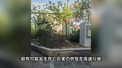 女子被家暴逃跑时致丈夫身亡，获刑11年！家属：我女儿是受害者