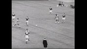 世界杯-巴西队历史百大进球之33·贝利-花絮
