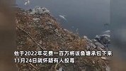 100亩鱼塘被投毒10万斤鱼死亡？塘主崩溃报警：损失60余万，又没得罪人